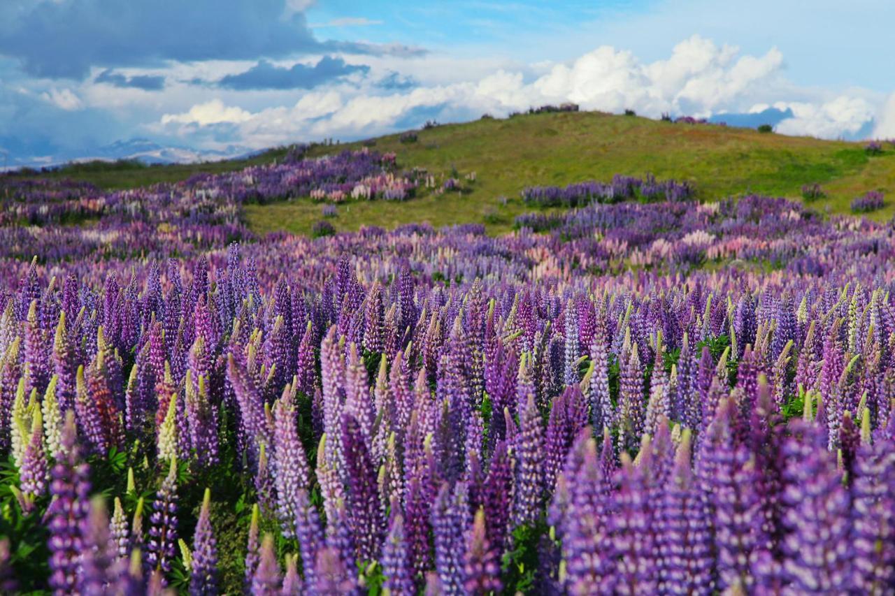 Peppers Bluewater Resort Lake Tekapo Exterior photo